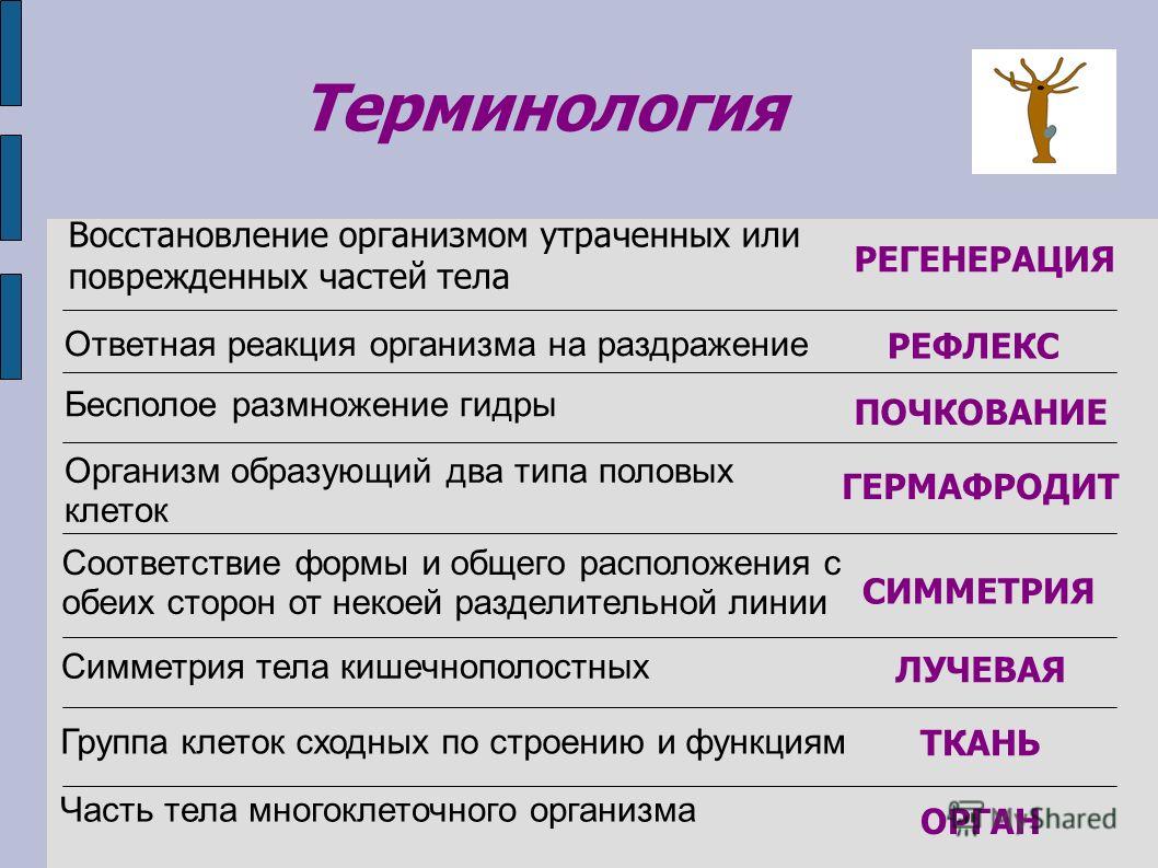 Ссылка на кракен в тор на сегодня
