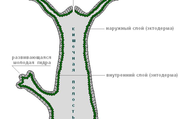 Что можно купить в кракене