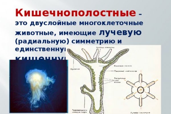 Как войти на сайт кракен