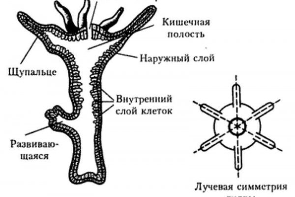 2krn сс что это такое